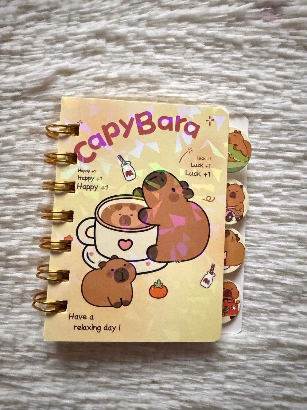 Capybara A6 spiral  mini notebook cute capybara illustrations 4 cute dividers